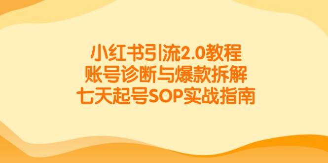 （14981期）小红书引流2.0教程，账号诊断与爆款拆解，七天起号SOP实战指南-水水网赚