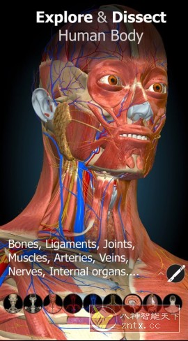 Anatomy Learning 3D解剖学v2.1.449高级版-水水网赚