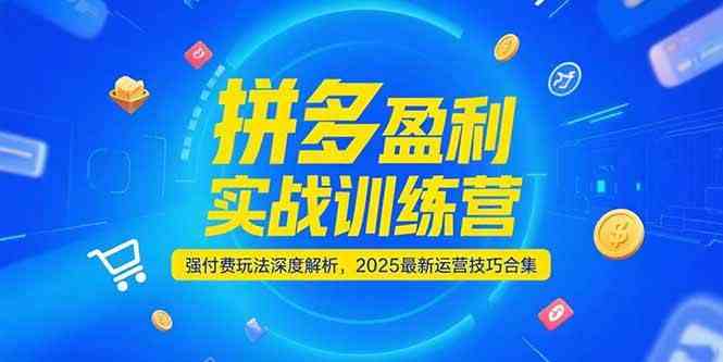 拼多多盈利实战训练营，强付费玩法深度解析，2025最新运营技巧合集-水水网赚
