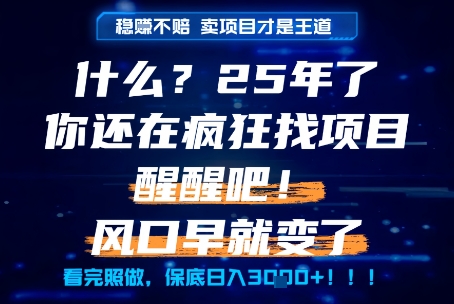 什么？25年你还在疯狂找项目做，醒醒吧，看完这些你全都懂了！【揭秘】-水水网赚