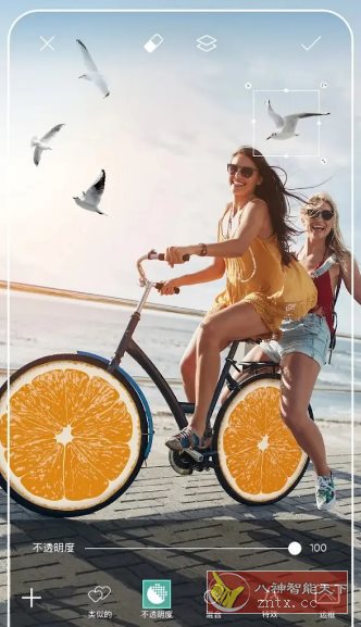 Picsart 美易v26.9高级版-水水网赚