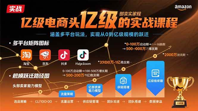 （15803期）亿级电商头部卖家的实战课程：涵盖多平台玩法，实现从0到亿级规模的跃迁-水水网赚