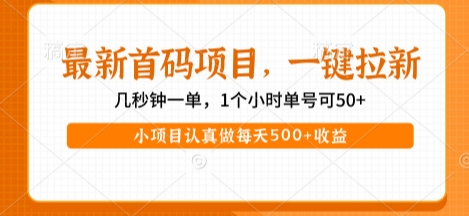 最新首码项目，操作最简单，收益高，一键拉新，1个小时单号可50+，小项目认真做每天5张+收益【揭秘】-水水网赚