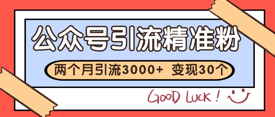 公众号精准粉引流玩法 2个月3000+精准粉 变现30万+-水水网赚