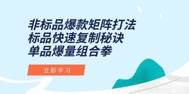 非标品爆款矩阵打法，标品快速复制秘诀，单品爆量组合拳-水水网赚