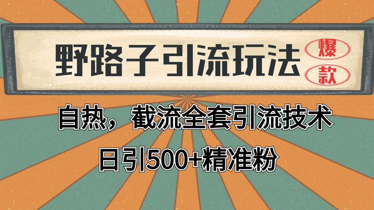 2024首发野路子引流玩法截流自热全平台打法，全自动引流【日引2000+精准客户】-水水网赚