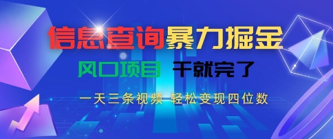 信息查询暴力掘金，一天三条视频，轻松变现四位数，风口项目干就完了【揭秘】-水水网赚