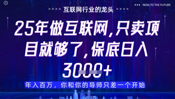 什么！25年你还在找项目做？风口早就变了，卖项目才是稳挣不赔【揭秘】-水水网赚
