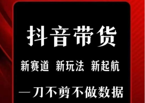 抖音短视频一刀不剪带货，不剪辑，不直播，每天发个视频，等着出单获取带货佣金-水水网赚