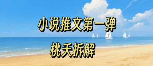 小说推文项目操作全流程第一弹，0粉就能做，门槛低非常适合新手-水水网赚