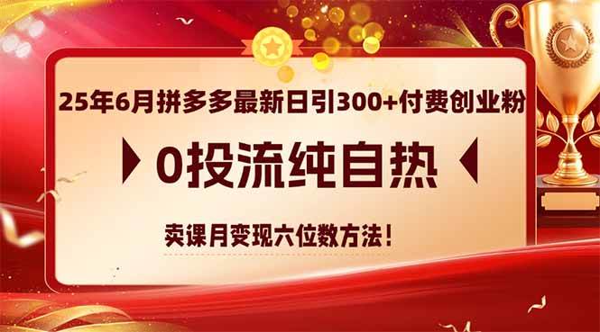 （14989期）25年6月拼多多最新日引300+付费创业粉，0投流纯自热 卖课月变现六位数方法-水水网赚