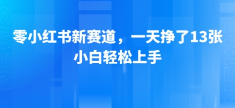 小红书新赛道，一天挣了13张，小白轻松上手-水水网赚