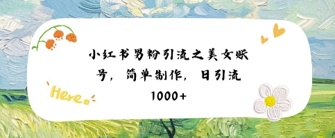 小红书男粉引流项目之美女账号6，简单制作，条条爆款原创，不违规-水水网赚
