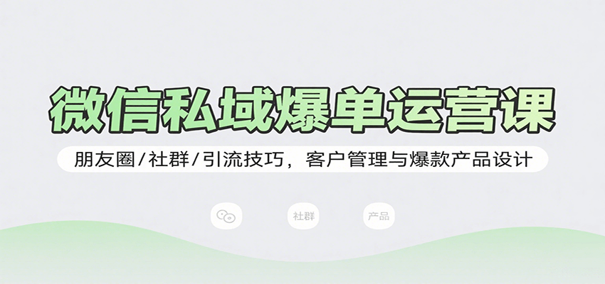 微信私域爆单运营课：朋友圈/社群/引流技巧，客户管理与爆款产品设计-水水网赚
