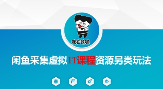 闲鱼采集虚拟IT课程资源另类玩法，干货满满-水水网赚