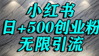 小红书无限引流创业粉，单人操作日引500+精准创业粉-水水网赚