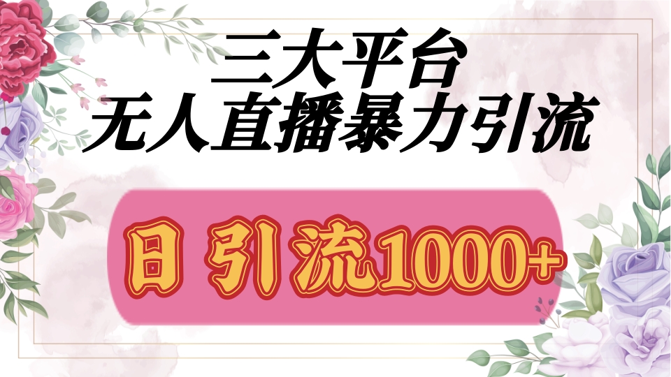 三大平台无人直播引流，吸引精准创业粉，保姆级教学-水水网赚