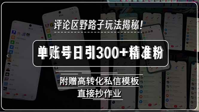 （15466期）评论区野路子玩法揭秘！单账号日引300+精准粉，附赠高转化私信模板，直…-水水网赚
