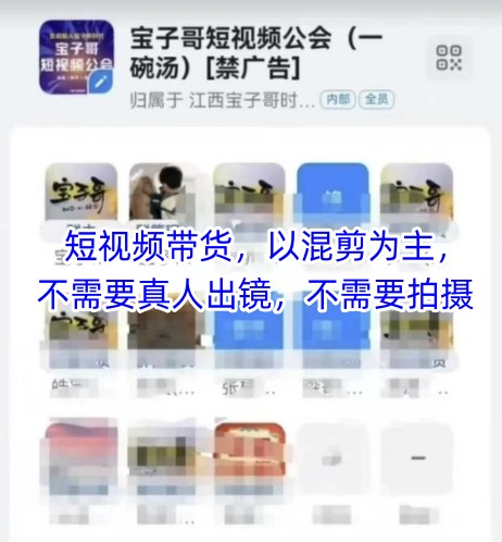 宝子哥头部团队短视频带货，以混剪为主，不需要真人出镜，不需要拍摄【更新6月】-水水网赚