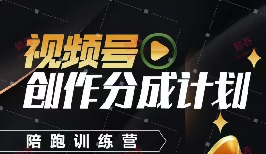 视频号创作分成计划陪跑训练营，手把手教会你如何制作视频，细水长流型项目-水水网赚