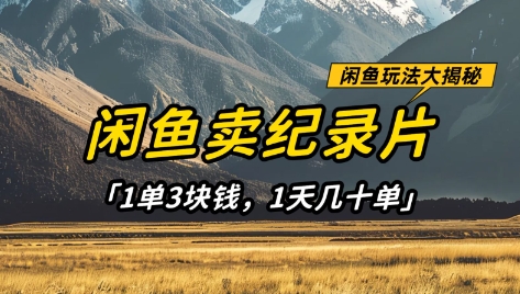 闲鱼卖纪录片1单3块钱，1天几十单，项目稳定有潜力-水水网赚