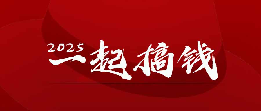 2025年，请“不择手段”去搞钱!-水水网赚