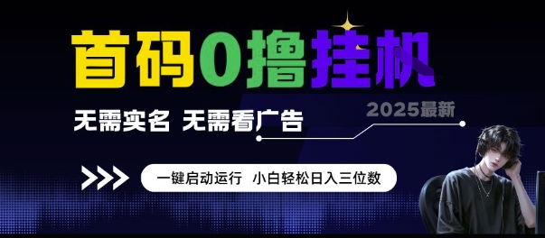 首码0撸挂G项目，无需实名无需看广告 一键启动运行，小白轻松日入三位数【揭秘】-水水网赚