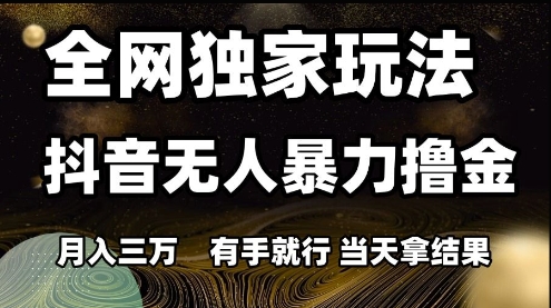 全网独家玩法抖音无人暴力撸金，月入3W，有手就行，当天拿结果【揭秘】-水水网赚