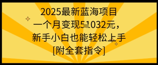 2025最新蓝海项目一个月变现1w+新手小白也能轻松上手【附全套指令】-水水网赚