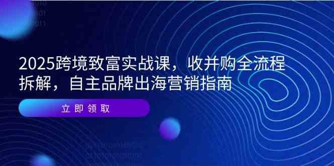 2025跨境致富实战课，收并购全流程拆解，自主品牌出海营销指南-水水网赚