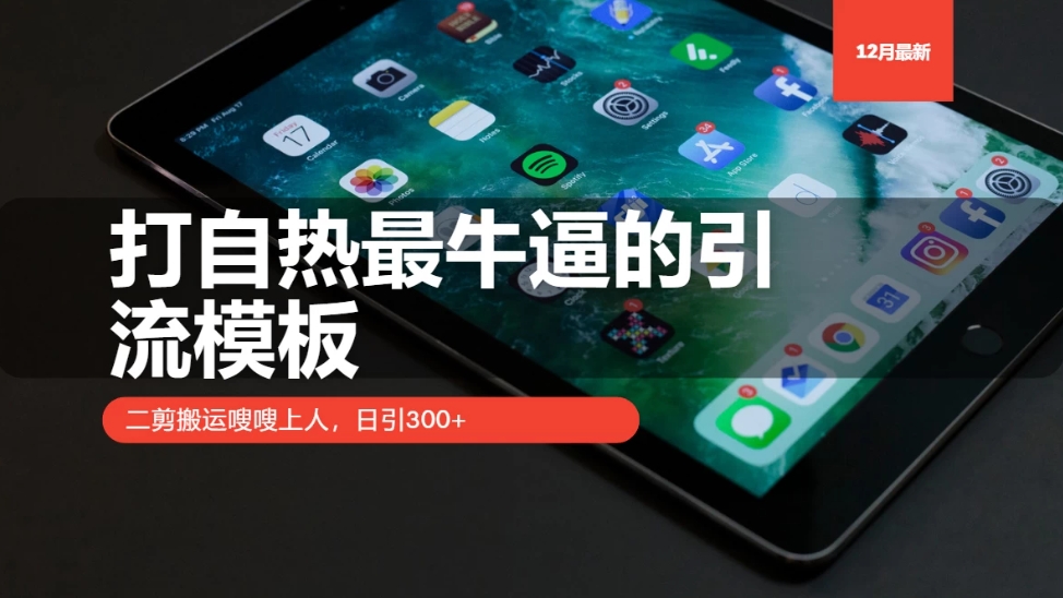 打自热最牛逼的引流模板，二剪搬运嗖嗖上人，日引300+-水水网赚