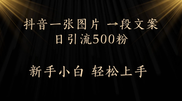 每天2分钟，抖音一张图片 一段文案日引流500粉-水水网赚