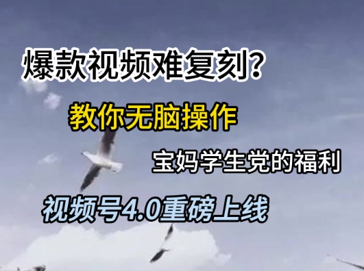 视频号4.0重磅上线，爆款视频难复刻？教你无脑操作宝妈学生党的福利【揭秘】-水水网赚