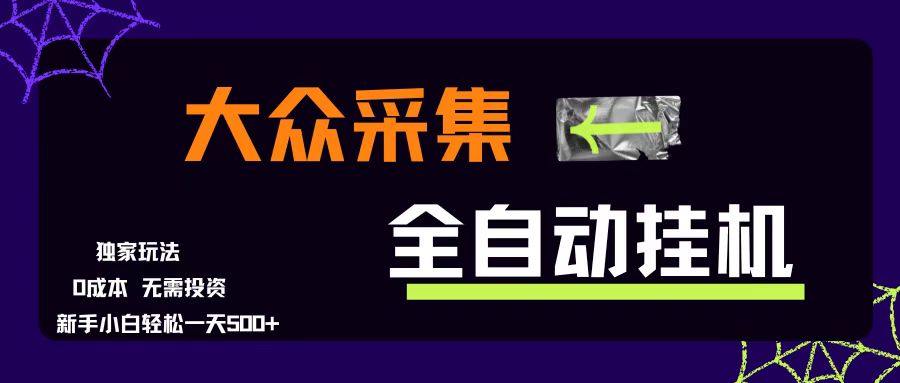 （15348期）大众采集全自动玩法，新手小白轻松一天500+，操作简单零成本-水水网赚