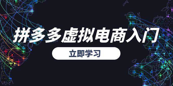 （15158期）拼多多虚拟电商入门，精准选品方法论，无货源模式起盘技巧-水水网赚