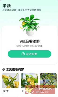 Plant Parent 植物养护v1.9.7高级版-水水网赚