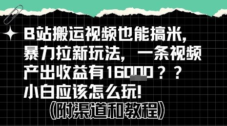 b站掘金计划？搬运视频也能挣拉新的收益，小白应该怎么玩！-水水网赚