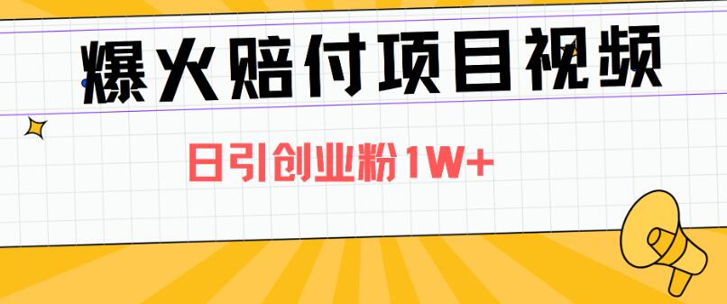 爆火赔付项目视频，全网平台进行引流，日引创业粉1W+-水水网赚