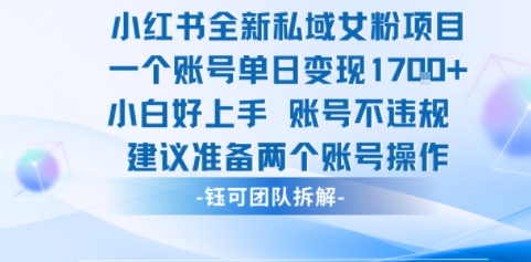 小红书全新私域女粉项目 单日变现1k+ 小白好上手账号不违规-水水网赚