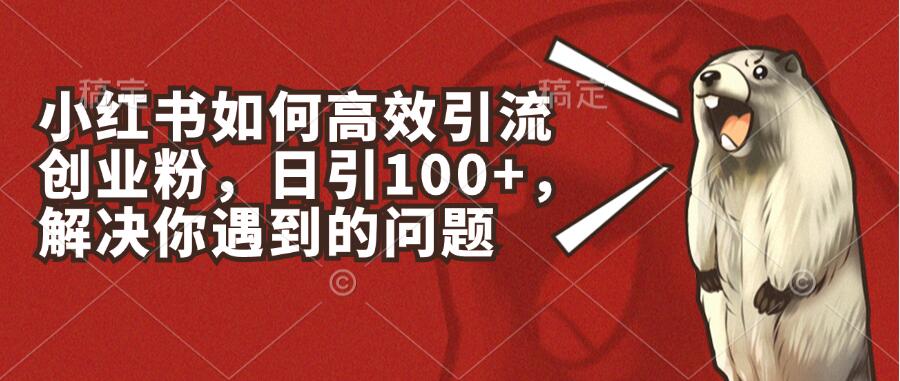 小红书如何高效引流创业粉，日引100+，解决你遇到的问题-水水网赚
