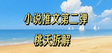 小说推文项目操作全流程第二弹，0粉就能做，门槛低非常适合新手-水水网赚