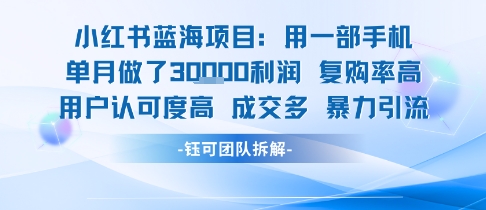 小红书蓝海项目，一部手机单月做了3W利润，小白也能月入过1W用户认可度高成交多-水水网赚
