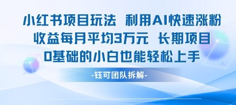 适合小白操作的小红书新项目，利用AI快速涨粉，收益每月平均1W+-水水网赚
