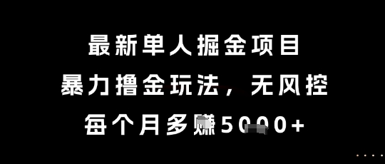 最新单人掘金项目，暴力撸金玩法，无风控，每个月多挣5k+【揭秘】-水水网赚