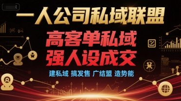 一人公司私域联盟，高客单私域，强人设成交，建私域 搞发售 广结盟 造势能-水水网赚