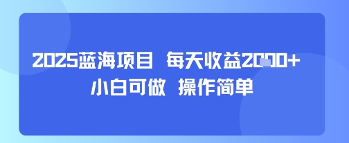 2025蓝海项目 每天收益多张 小白可做 操作简单-水水网赚