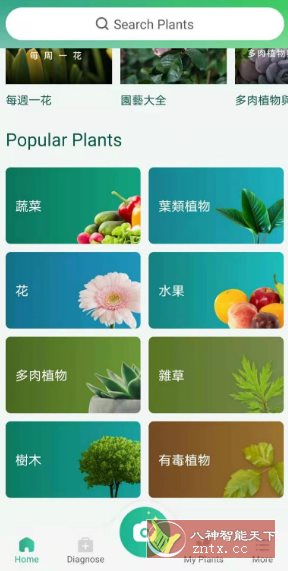 PictureThis 植物识别v5.6.0专业版-水水网赚