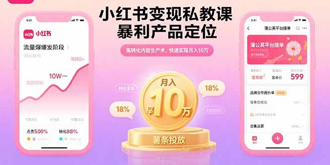 小红书变现私教课，暴利产品定位，高转化内容生产术，快速实现月入10万-水水网赚