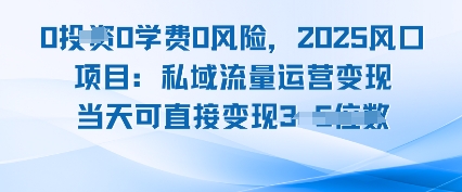 0学费0风险，2025风口项目：私域流量运营变现，当天可直接变现-水水网赚