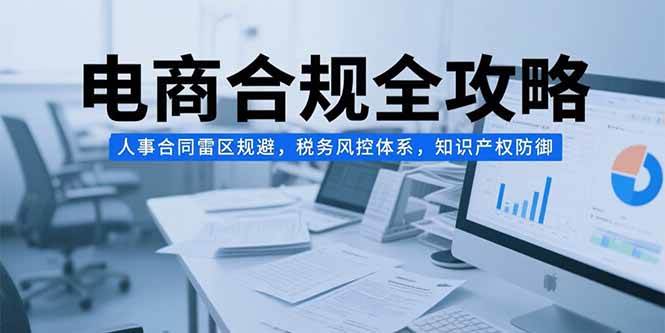 （15377期）电商合规全攻略，人事合同雷区规避，税务风控体系，知识产权防御-水水网赚